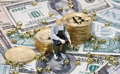 中金印度消费REIT：邱延冰，基金管理公司副总经理